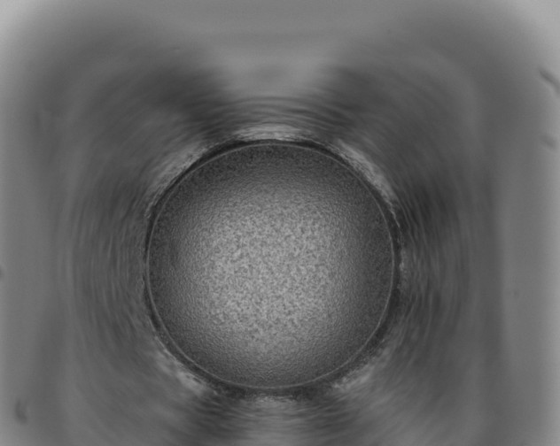 X0000096480529200801311558