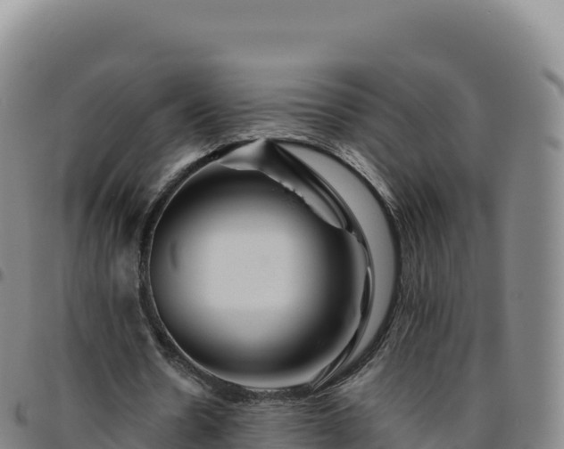 X0000096480530200801311558