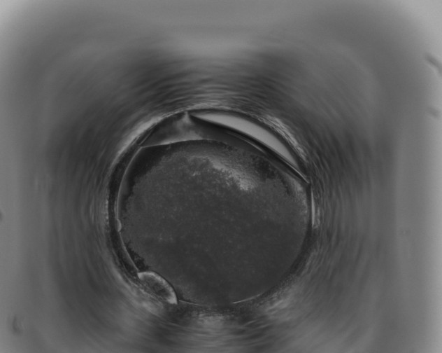 X0000096480531200801311558