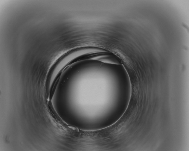 X0000096480532200801311558