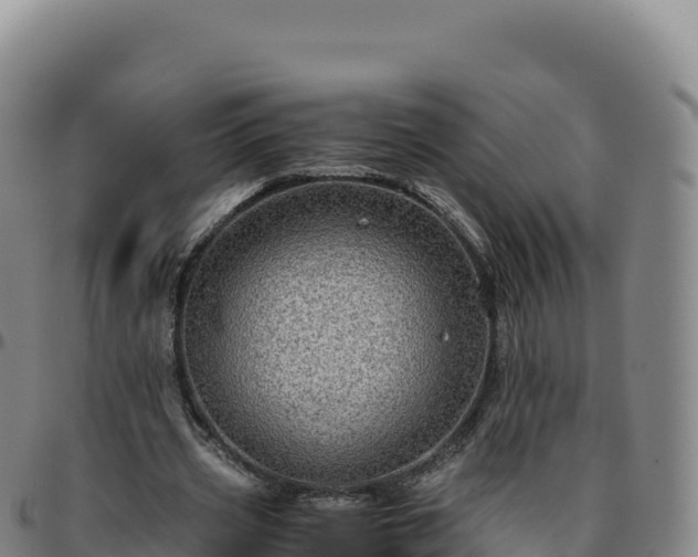 X0000096480533200801311558