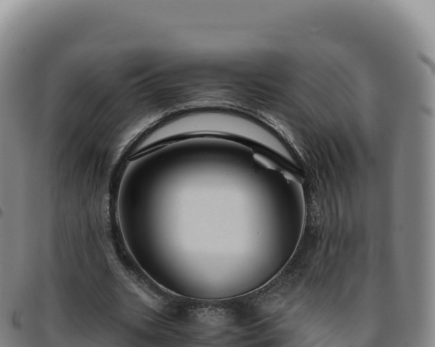 X0000096480535200801311558