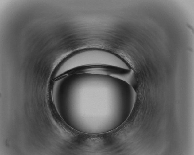 X0000096480536200801311558