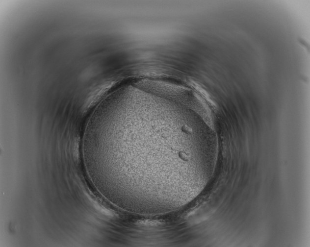 X0000096480537200801311558