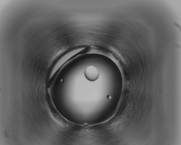 X0000096480538200801311558