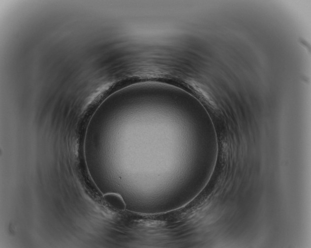 X0000096480539200801311558