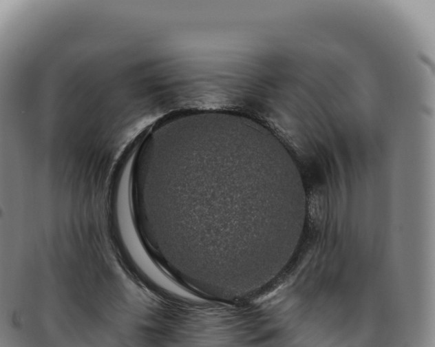 X0000096480540200801311558