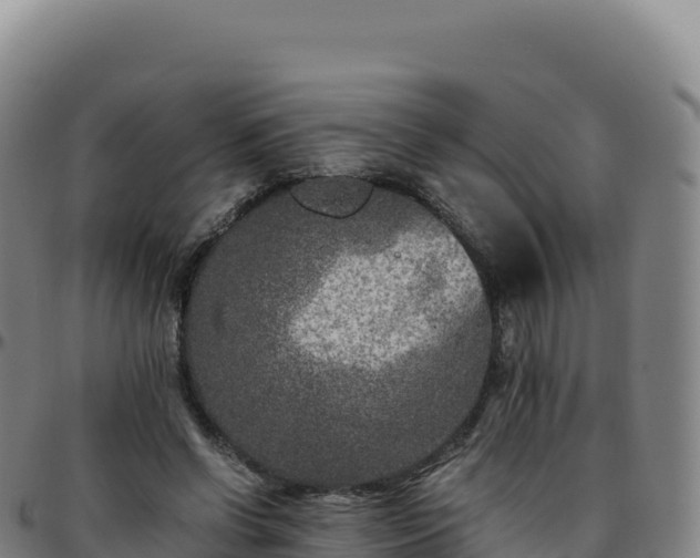 X0000096480542200801311558