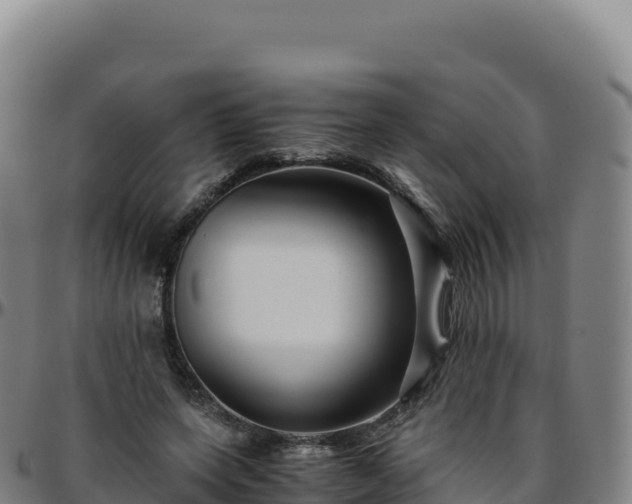 X0000096480543200801311558