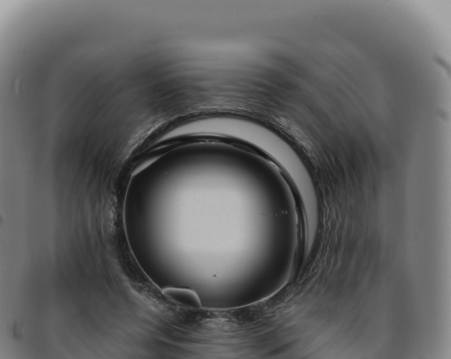 X0000096480544200801311558