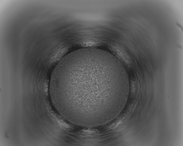 X0000096480545200801311558