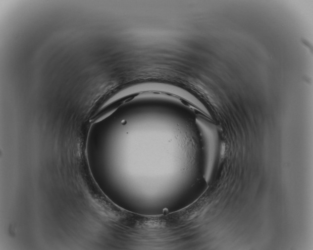 X0000096480546200801311558