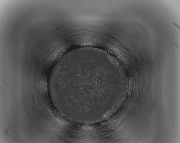 X0000096480547200801311558