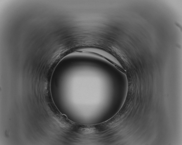 X0000096480548200801311558