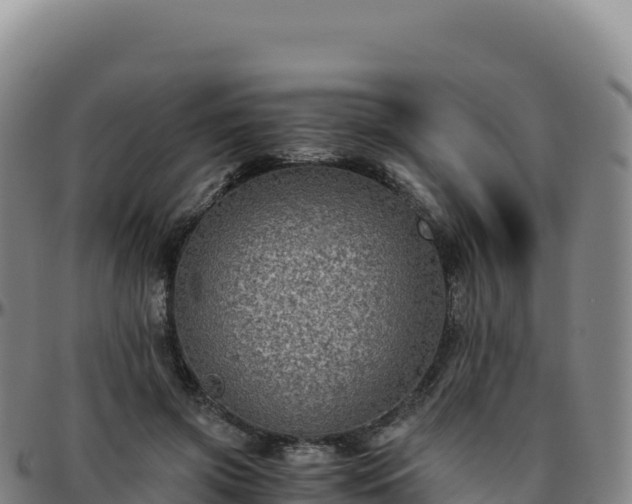 X0000096480549200801311558