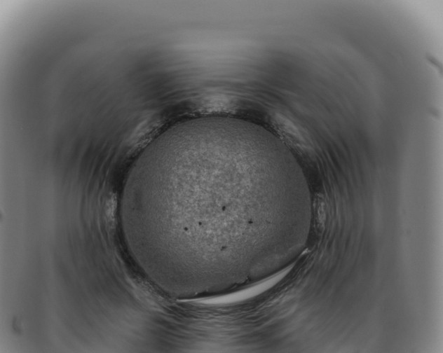 X0000096480550200801311558