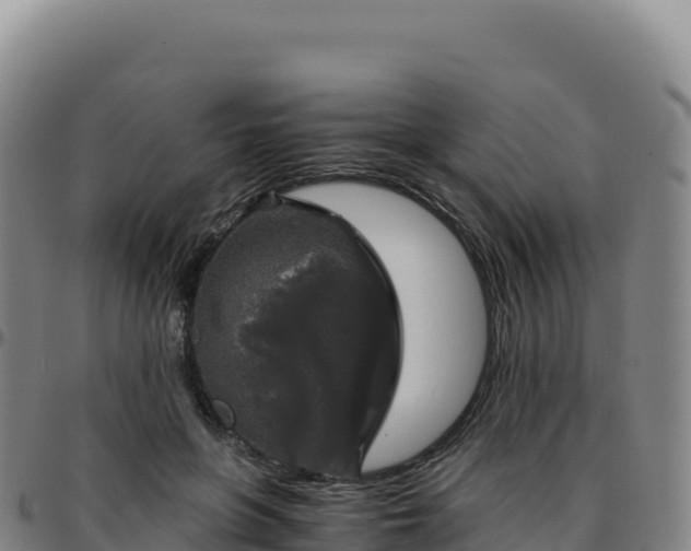 X0000096480551200801311558