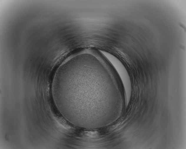 X0000096480552200801311558