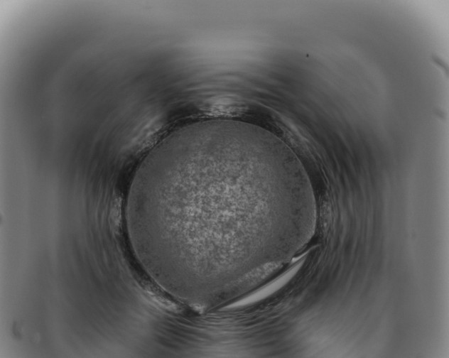 X0000096480554200801311558