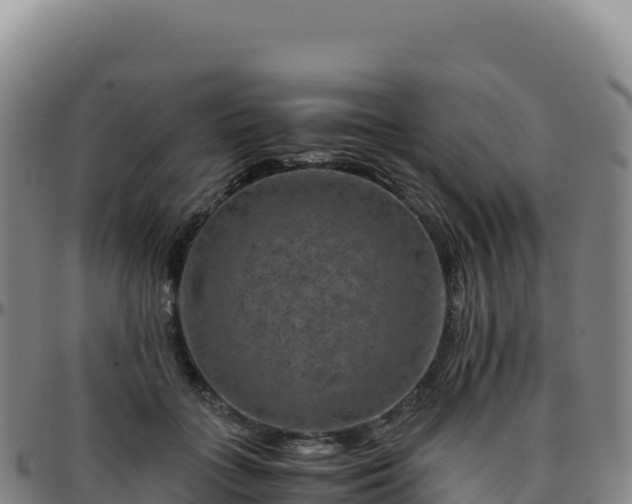 X0000096480555200801311558