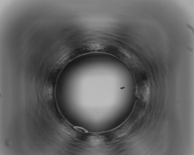 X0000096480556200801311558