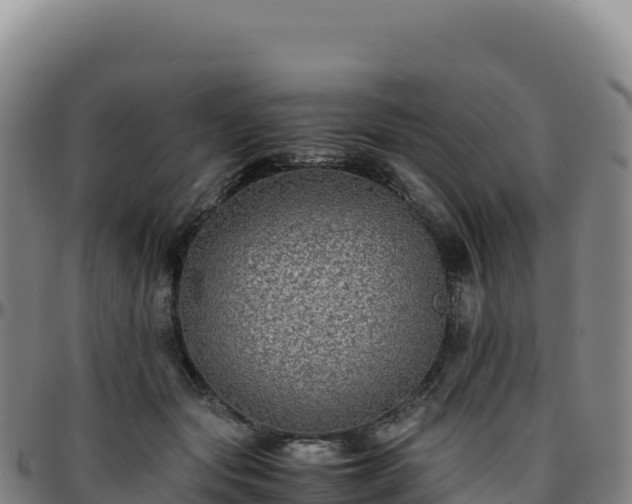 X0000096480557200801311558