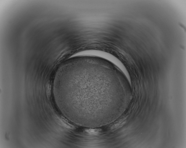 X0000096480558200801311558