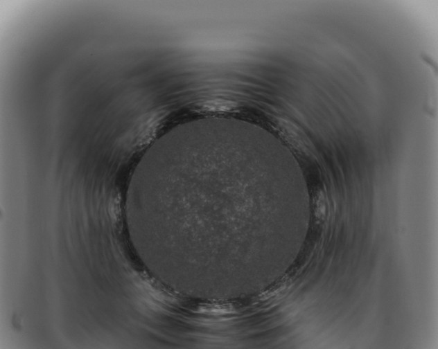 X0000096480559200801311558