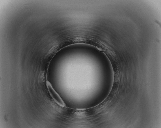 X0000096480560200801311558