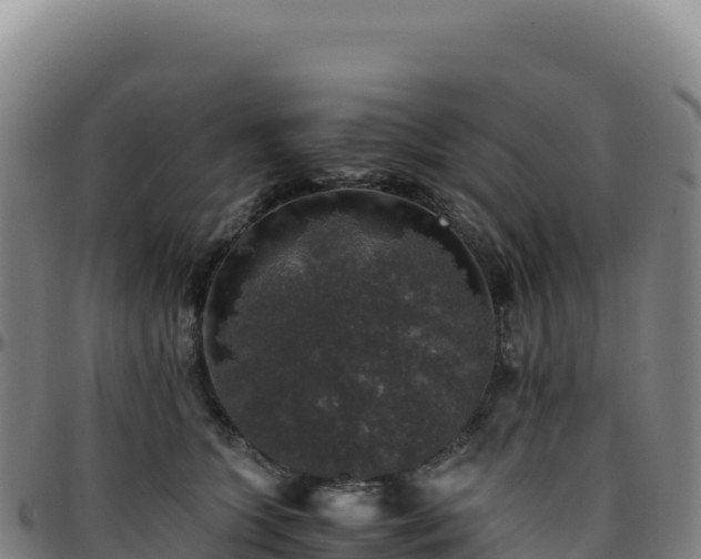 X0000096480563200801311558