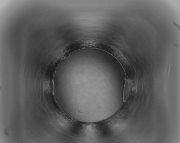 X0000096480564200801311558