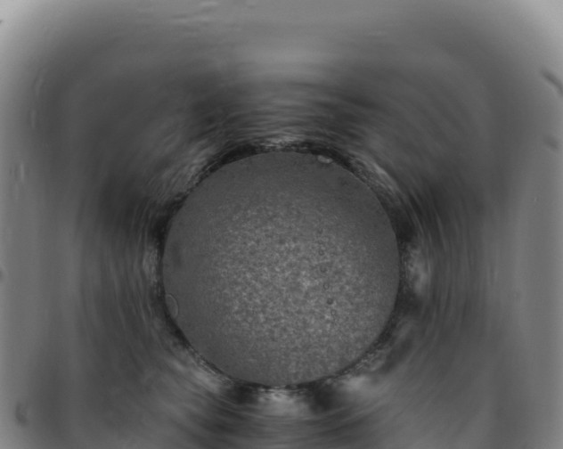 X0000096480565200801311558