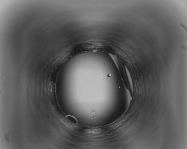 X0000096480567200801311558