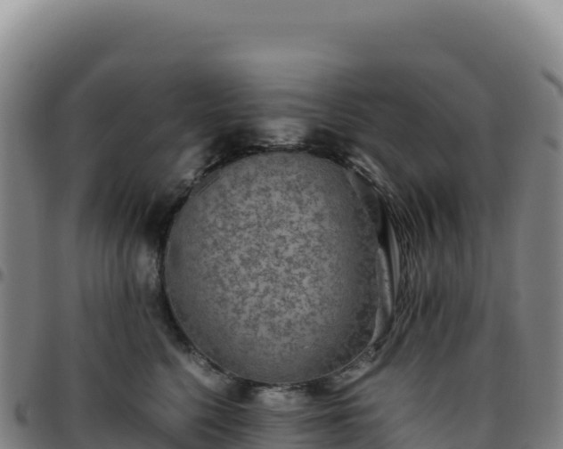 X0000096480568200801311558