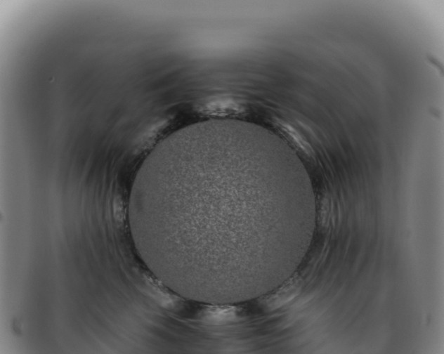 X0000096480569200801311558