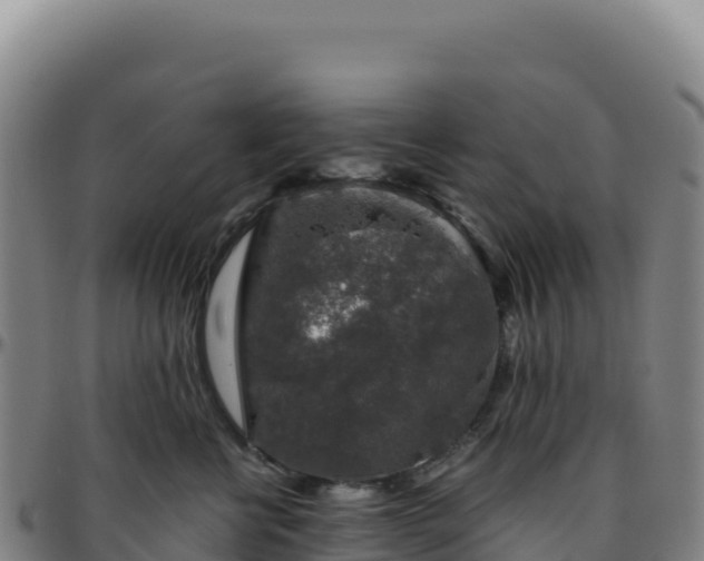 X0000096480570200801311558