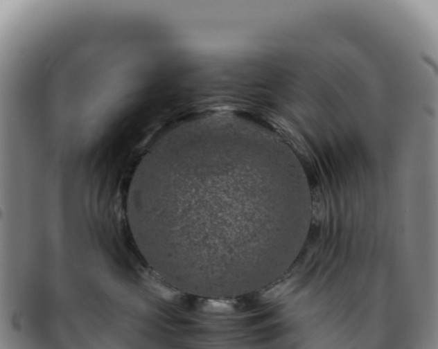 X0000096480573200801311559