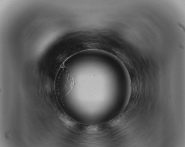 X0000096480574200801311559