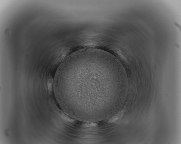 X0000096480576200801311559