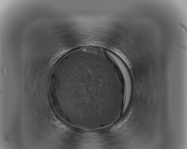 X0000096480577200801311558