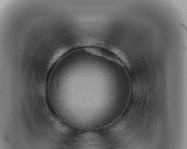 X0000096480578200801311558