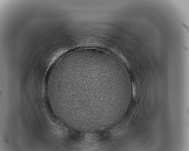 X0000096480579200801311558