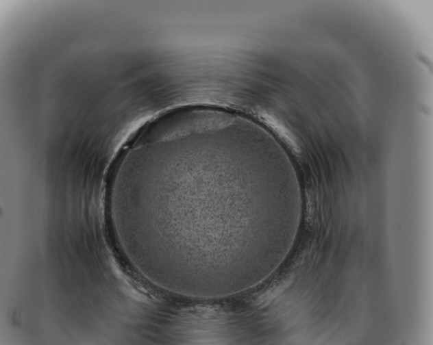 X0000096480580200801311558