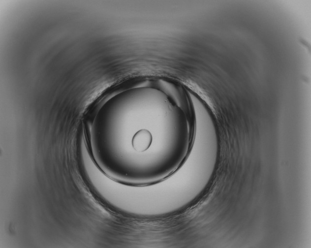 X0000096480581200801311558