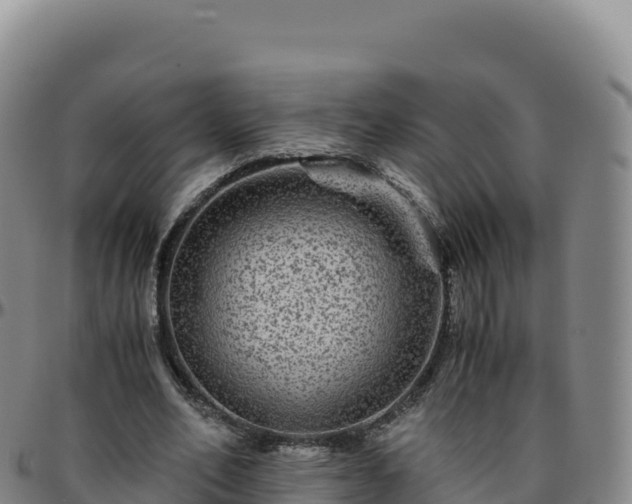 X0000096480582200801311558