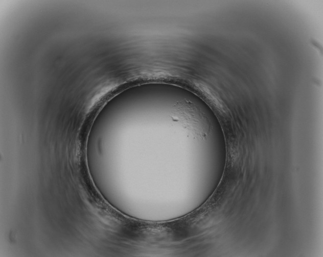 X0000096480583200801311558