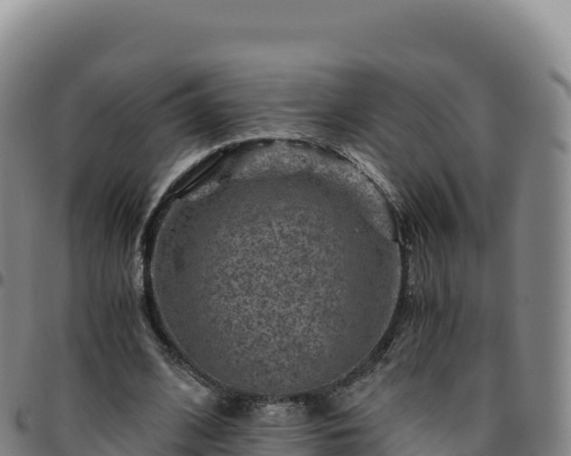 X0000096480584200801311558