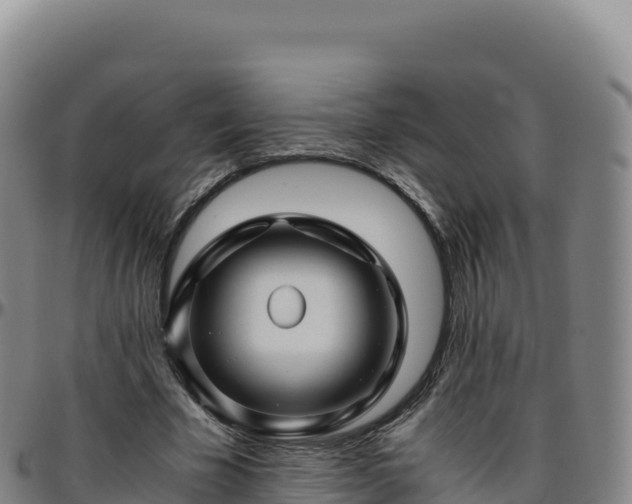 X0000096480585200801311558