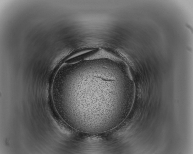 X0000096480586200801311558