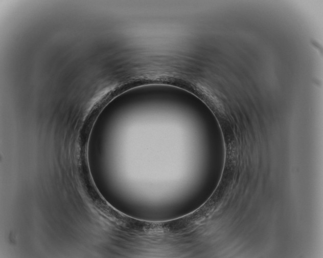 X0000096480587200801311558